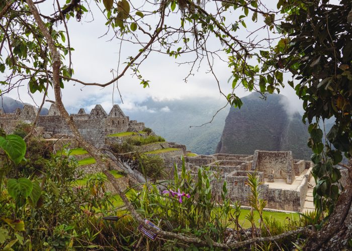 Inca Jungle