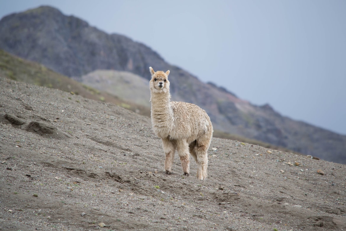 Vinicunca