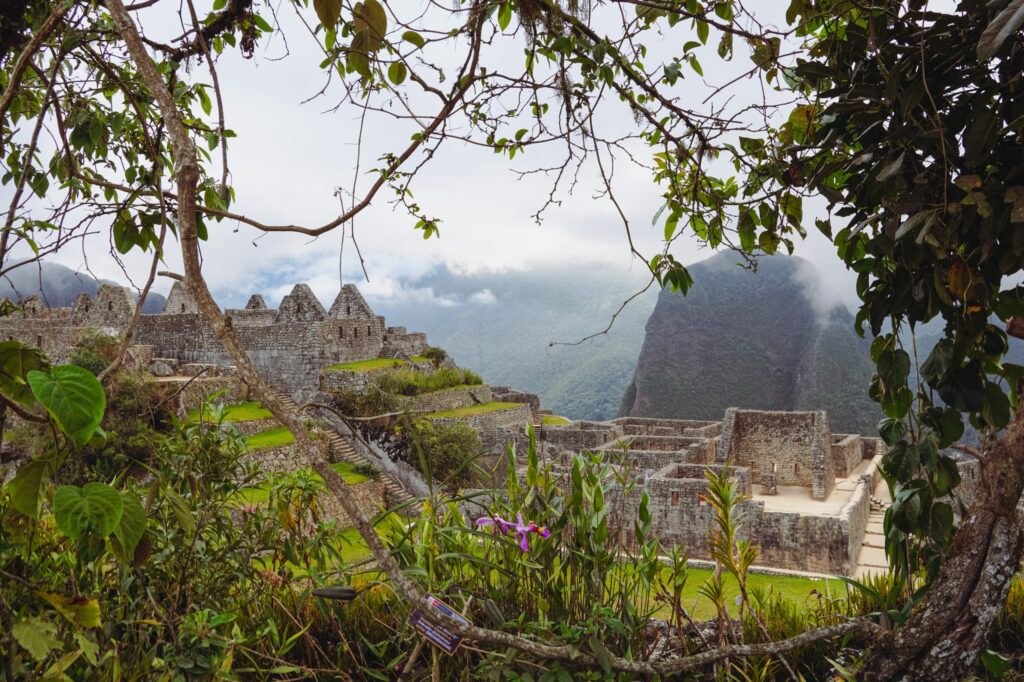 Machu Picchu & Amazon Basin