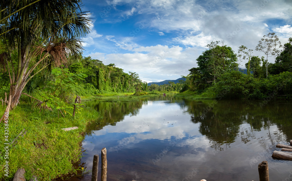 Amazon rainforest Peru panoramic landscape tropical jungle biosphere reserve Madre de Dios river