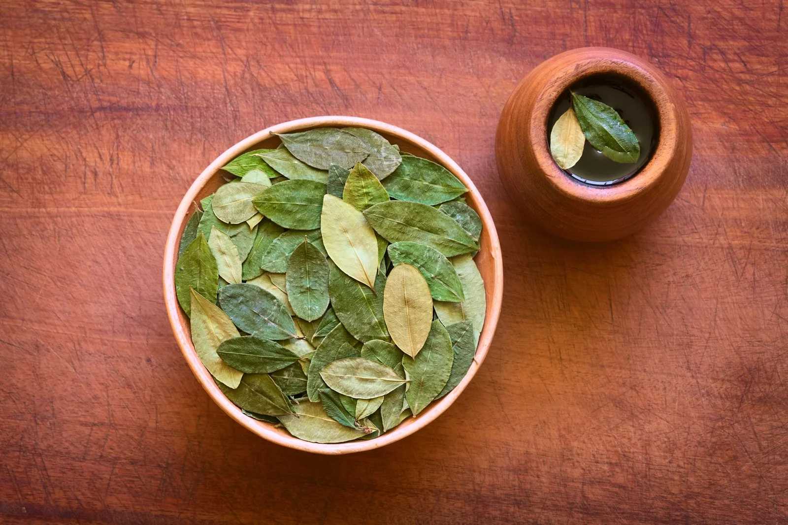 Cup of coca tea with coca leaves on a wooden table