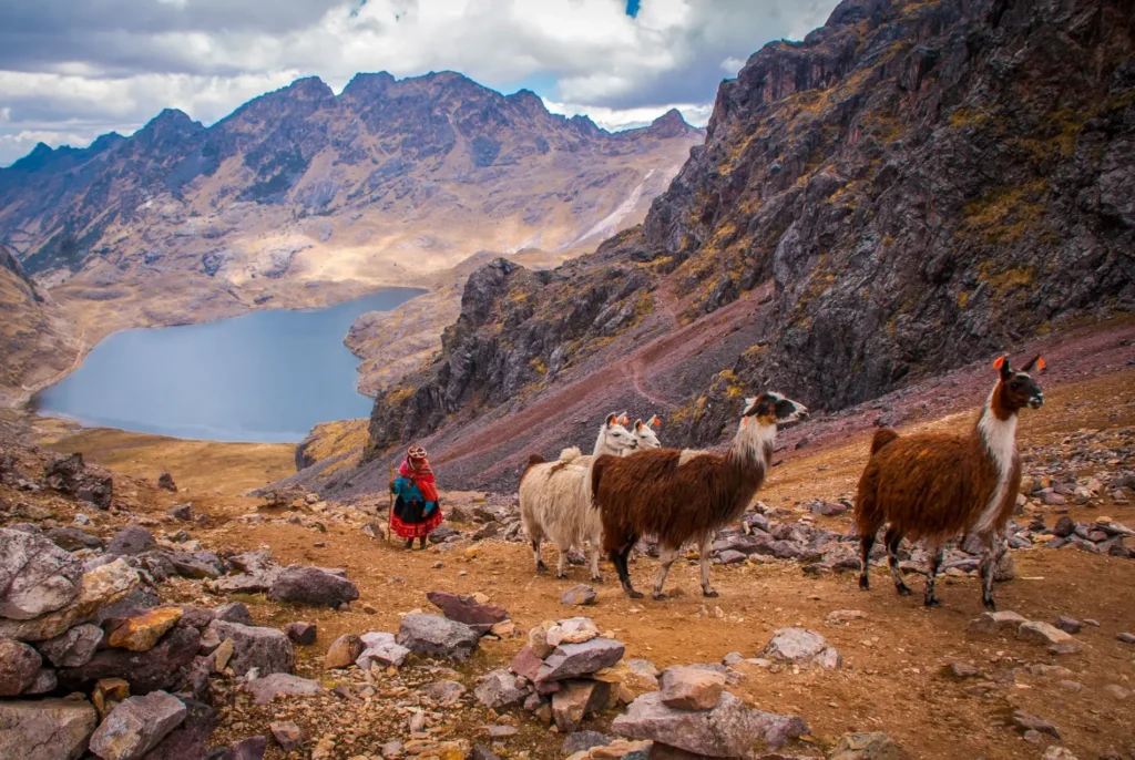 Lares Llama Trek Experience – 3 Days